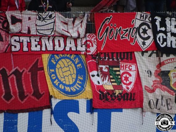 SG Sonnenhof-Großaspach vs Hallescher FC (1-1) (5)