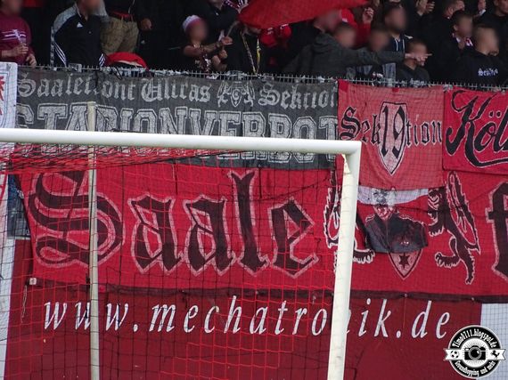 SG Sonnenhof-Großaspach vs Hallescher FC (1-1) (13)