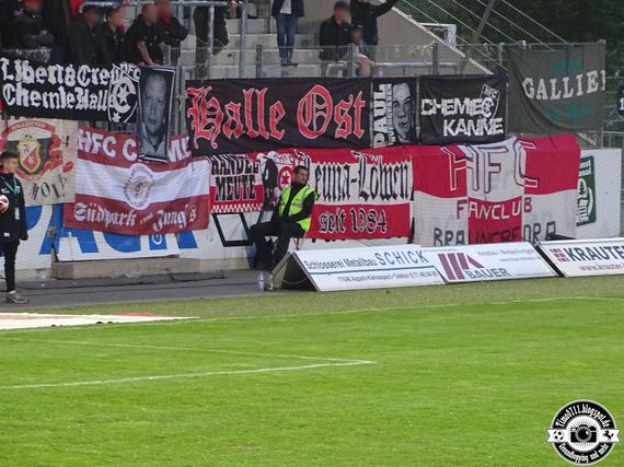 SG Sonnenhof-Großaspach vs Hallescher FC (1-1) (19)