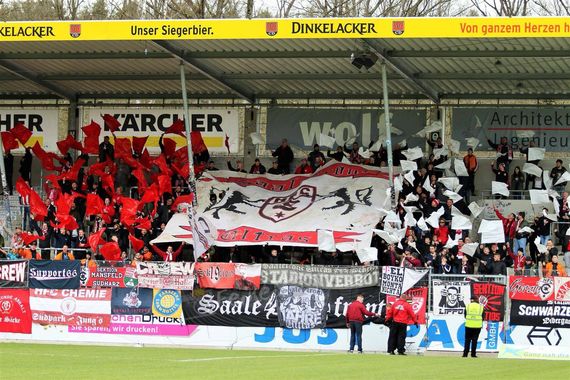 SG Sonnenhof-Großaspach vs Hallescher FC (1-0) (2)