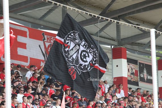 Hallescher FC vs SV Meppen (3-1) (1)