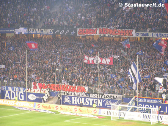 Hamburger SV vs FC Schalke 04 (1-2) (2)
