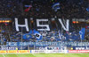 Hamburger SV vs VfL Wolfsburg (3-1)