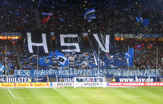 Hamburger SV vs VfL Wolfsburg (3-1) (1)