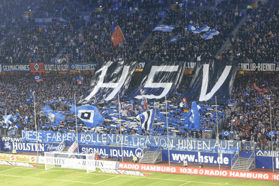 Hamburger SV vs VfL Wolfsburg (3-1) (3)