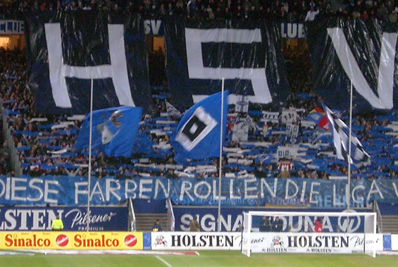 Hamburger SV vs VfL Wolfsburg (3-1) (4)