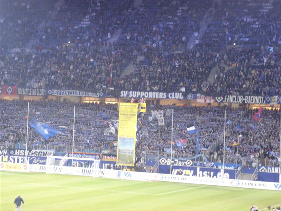 Hamburger SV vs VfL Wolfsburg (3-1) (8)