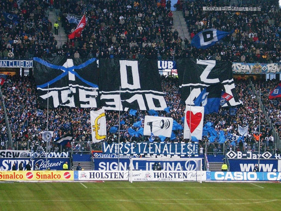 Hamburger SV vs 1. FSV Mainz 05 (2-1) (4)