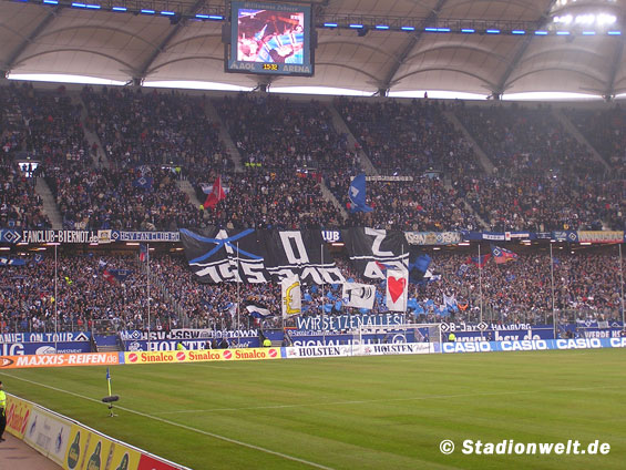 Hamburger SV vs 1. FSV Mainz 05 (2-1) (9)