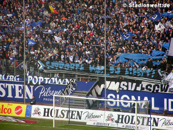 Hamburger SV vs Bayer 04 Leverkusen (1-0) (3)