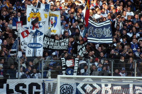 Hamburger SV vs Bayer 04 Leverkusen (1-0) (9)