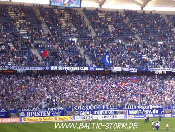 Hamburger SV vs FC Hansa Rostock (3-0) (4)
