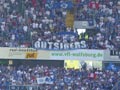 VfL Wolfsburg vs Hamburger SV (1-0)