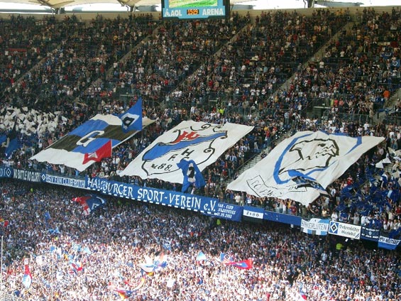 Hamburger SV vs VfL Bochum (0-1) (3)