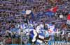 Hamburger SV vs 1. FC Köln (3-1)