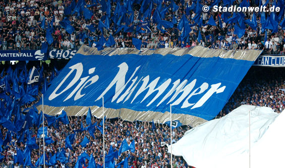 Hamburger SV vs Werder Bremen (1-2) (5)