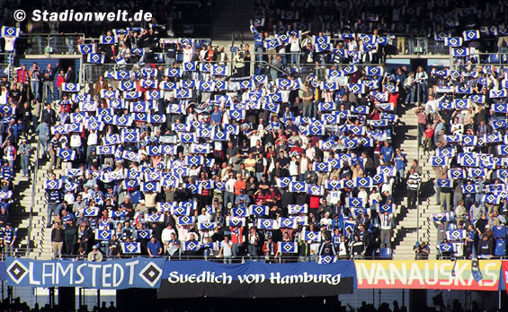 Hamburger SV vs VfL Wolfsburg (0-1) (5)
