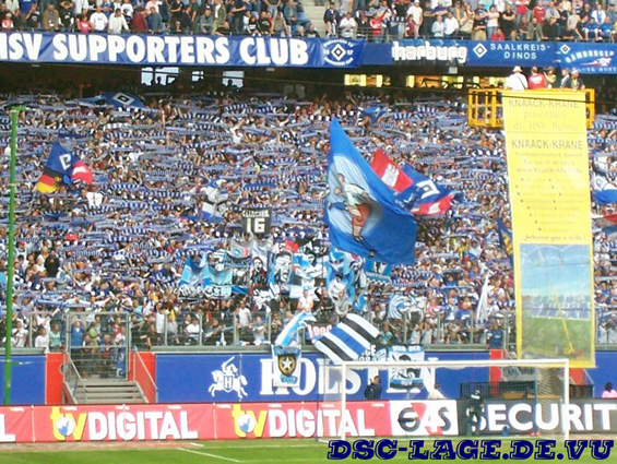Hamburger SV vs DSC Arminia Bielefeld (1-1) (1)
