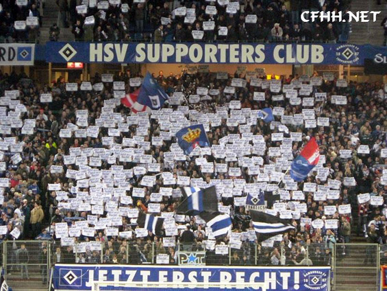 Hamburger SV vs FC Energie Cottbus (1-1) (4)