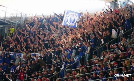 Hamburger SV vs VfL Wolfsburg (1-0) (3)