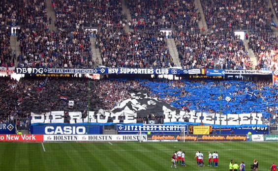 Hamburger SV vs VfL Wolfsburg (1-0) (8)