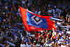Hamburger SV vs 1. FSV Mainz 05 (2-2)