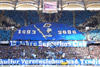 Hamburger SV vs DSC Arminia Bielefeld (1-1)