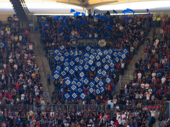 Hamburger SV vs 1. FC Nürnberg (1-0) (6)