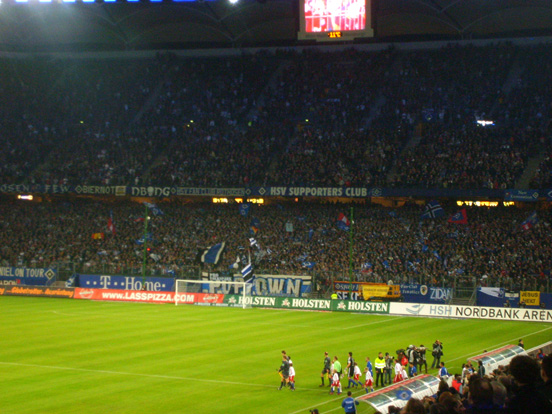 Hamburger SV vs SC Freiburg (3-1) (5)