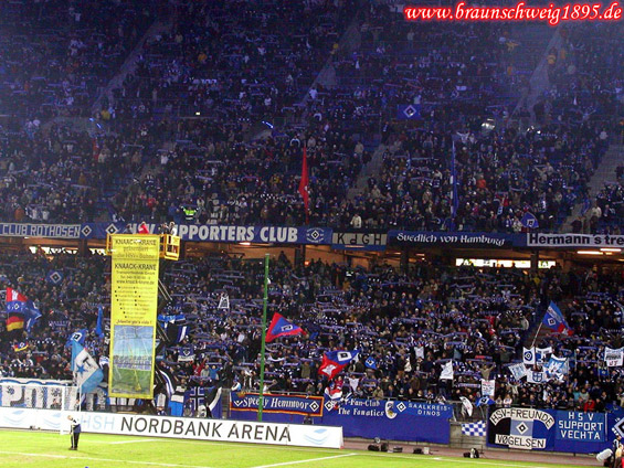 Hamburger SV vs FC Basel (1-1) (1)