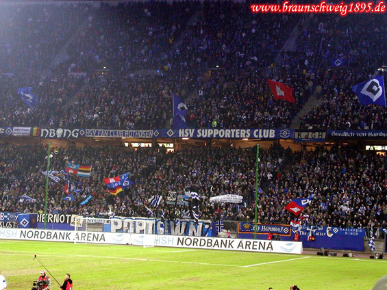 Hamburger SV vs FC Basel (1-1) (4)
