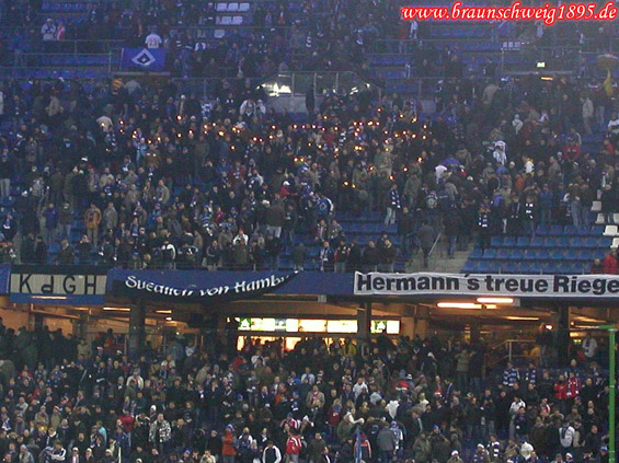 Hamburger SV vs FC Basel (1-1) (7)