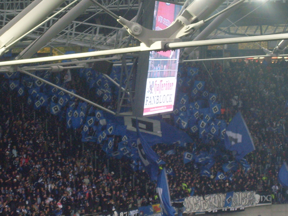 Hannover 96 vs Hamburger SV (3-0) (8)