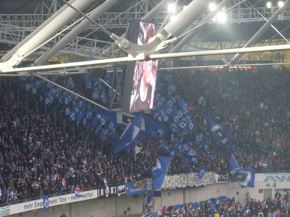 Hannover 96 vs Hamburger SV (3-0) (9)