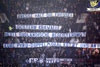 Hamburger SV vs FC Energie Cottbus (2-0)