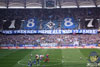 Hamburger SV vs TSG Hoffenheim (1-0)