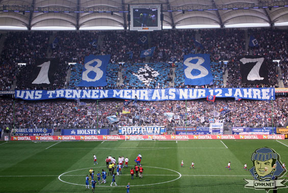 Hamburger SV vs TSG Hoffenheim (1-0) (1)