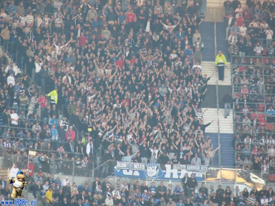 Hamburger SV vs VfL Bochum (3-1) (7)