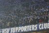 Hamburger SV vs Rapid Wien (2-0)