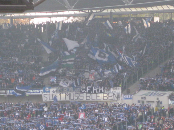 Hannover 96 vs Hamburger SV (2-2) (2)