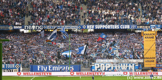 Hamburger SV vs VfB Stuttgart (3-1) (13)