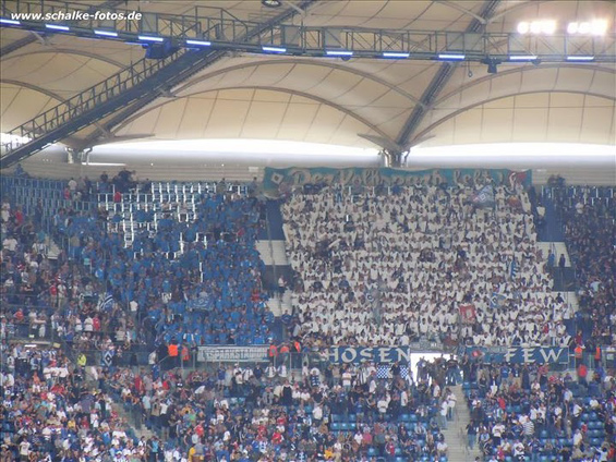 Hamburger SV vs FC Schalke 04 (1-2) (3)