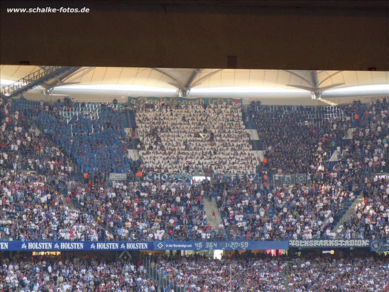 Hamburger SV vs FC Schalke 04 (1-2) (5)