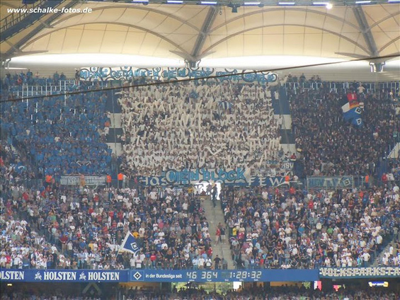 Hamburger SV vs FC Schalke 04 (1-2) (6)