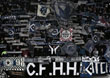 Hannover 96 vs Hamburger SV (3-2)