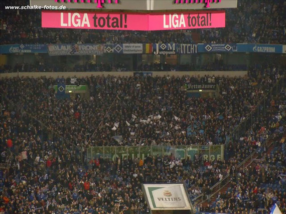 FC Schalke 04 vs Hamburger SV (0-1) (1)
