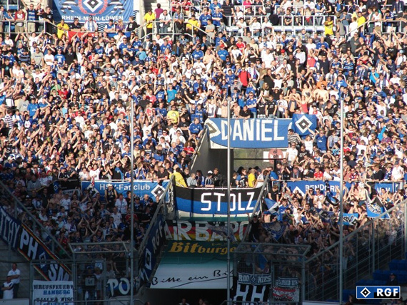 TSG Hoffenheim vs Hamburger SV (0-0) (2)