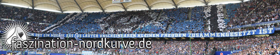 Hamburger SV vs 1. FC Nürnberg (1-1) (1)