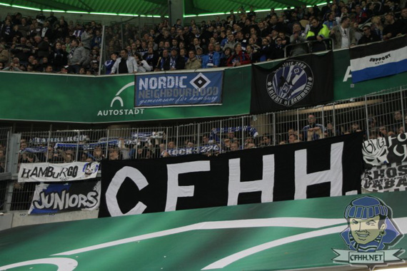 VfL Wolfsburg vs Hamburger SV (2-1) (3)