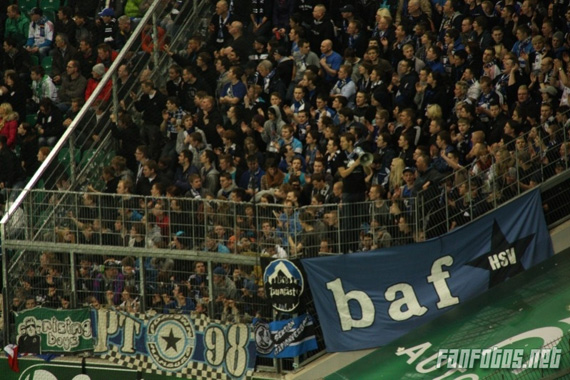 VfL Wolfsburg vs Hamburger SV (2-1) (6)